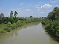 Râul Siret la Zvoriştea - amonte