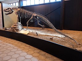 Saurosuchus