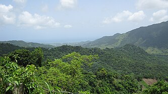 View facing Patillas Pueblo from PR-184