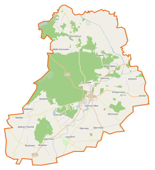 Mapa konturowa gminy Łabiszyn, w centrum znajduje się punkt z opisem „Łabiszyn”