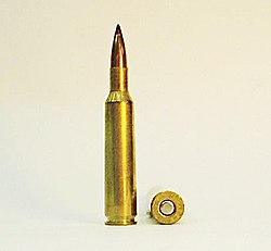 6mm Remington.JPG
