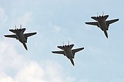 編隊飛行するイラン空軍のF-14A、2008年撮影