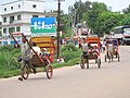 Рикши на улицах города