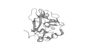 Segona versió de la representació tridimensional (en blanc i negre) animada del domini PZP de la nucleoproteïna AF-10, situada en la seqüència d'aminoàcids des de la posició 1-208. Animació obtinguda prèviament en 2D amb l'UniProt i remodelada tridimensionalment amb Sony Vegas Pro 13 i Adobe Photoshop.