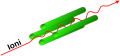 Risultato finale in formato svg