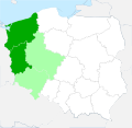 Występowanie pajęcznicy liliowatej w Polsce.