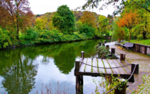 Ataturk Arboretum in Istanbul Ataturk Arboretum.png