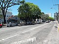 Avenida Rio Branco