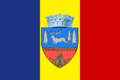 Bacau-Flag.png