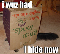 Example of lolcat