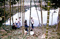 Rodaje de la escena en la reserva forestal.