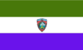 Sonsonate: Vlag