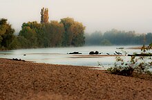 Bords de l'Allier vers Moulins