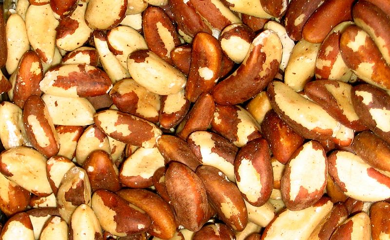 קובץ:Brazil nuts.jpg