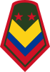 Колумбия-Армия-OR-8.svg