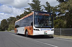 Cranbourne Transit Scania K310UB.jpg