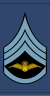 Дания-AirForce-OR-5.svg