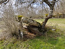 Dolmen de la Pierre Levée