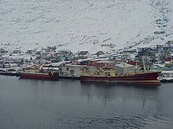 Eskifjörður mit Fischtrawler