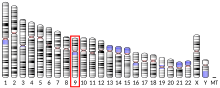 Ideogram human chromosome 9.svg