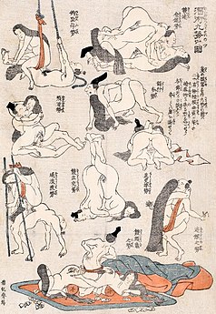Ilustracije različnih spolnih položajev
