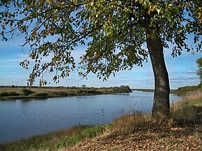 Kostromos upė