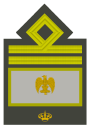 MVSN-Luogotenente generale capo di manipolo.svg