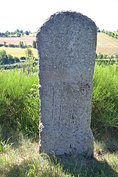 Copie de la statue-menhir de Mas-Viel n°3