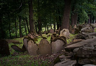 Jewish Cemetery in Nowy Żmigród, Poland by Daniel Żołopa