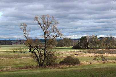 Parc naturel de la forêt de Turovec.