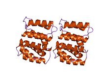 PDB 1ea3 EBI.jpg