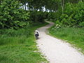 Parc de Sint Jacobiparochie