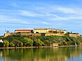 Novi Sad - Wikidata