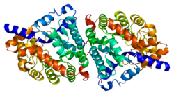 Protein DPEP1 PDB 1itq.png