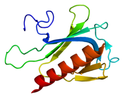 Protein SPRED2 PDB 2jp2.png