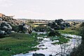 El arroyo Villapalos en el puente de la Torre, Menasalbas (Toledo).