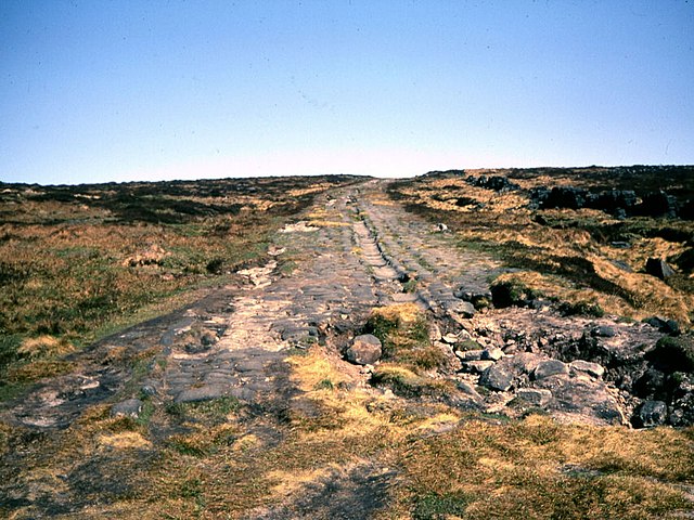 Roman Road, Blackstone Edge - geograph.org.uk - 1804285
