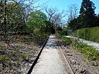 Rosengarten im Viktoriapark