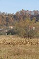 Ostružanj - panorama