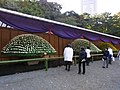 菊花壇展（2010年11月9日撮影）