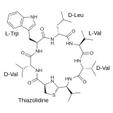 Image illustrative de l’article Lugdunine