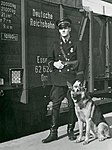 Svensk järnvägspolis med schäferhund framför godsvagn ingående i tyskt militärtåg på Östersunds centralstation. (1942).