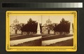 Estereoscopio de la plaza entre 1850 y 1930.