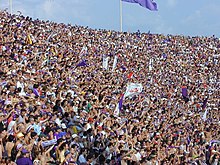 Audience engagement from a crowd of Italian sport fans Tifosi fiorentina.jpg