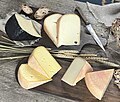 Miniatura para Tomme des Pyrénées