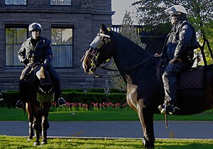 Mounted Toronto officers standing outside Quee...