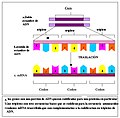 Hình xem trước của phiên bản lúc 20:42, ngày 18 tháng 8 năm 2014