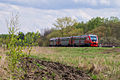 Train arrives to Nemolodva station