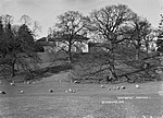 a country house, partly obscured by trees, overlooking a field with sheep