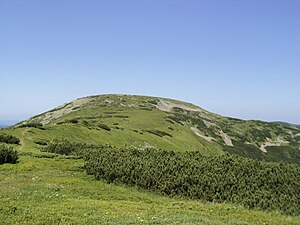 Гропа і горішня частина заказника «Річанський» (справа)